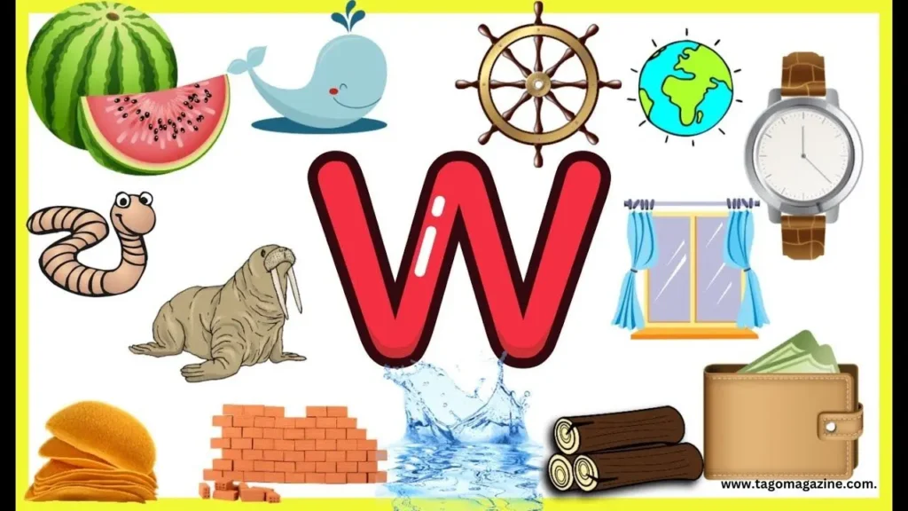 Common Objects and Items