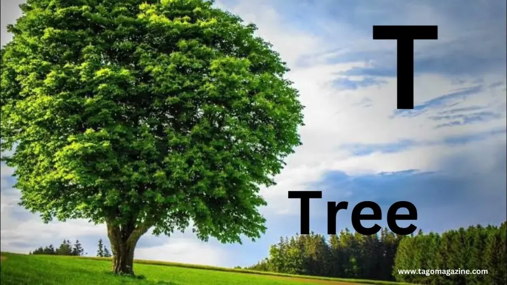 Nature & Environment