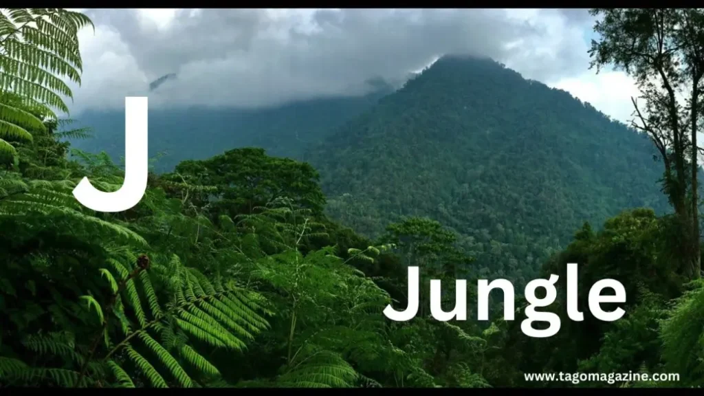 Nature and Natural Elements