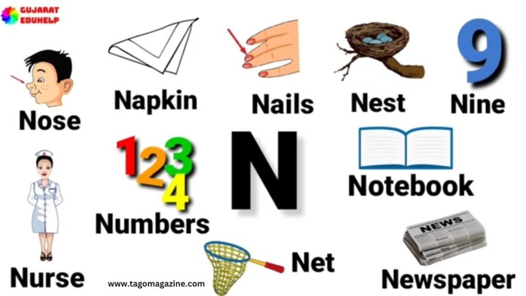 Objects and Materials