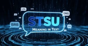 STSU Meaning in Text