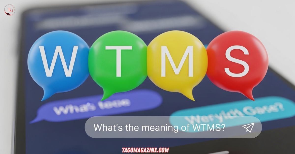 WTMS Meaning in Text Messages