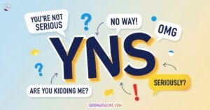 YNS Meaning